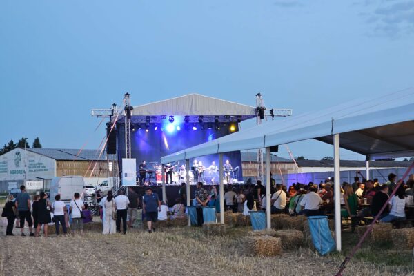 Záhradné párty stany